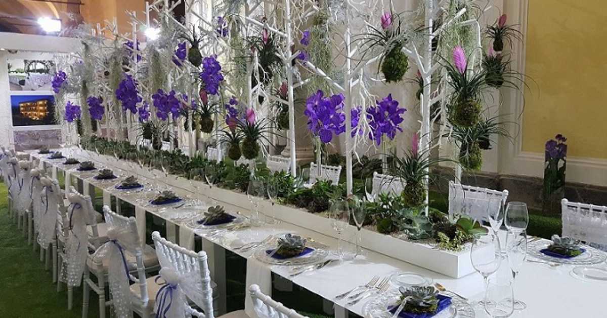 Colori, profumi e delicatezza, � il mondo dei fioristi: �Siamo gli artisti dei petali�